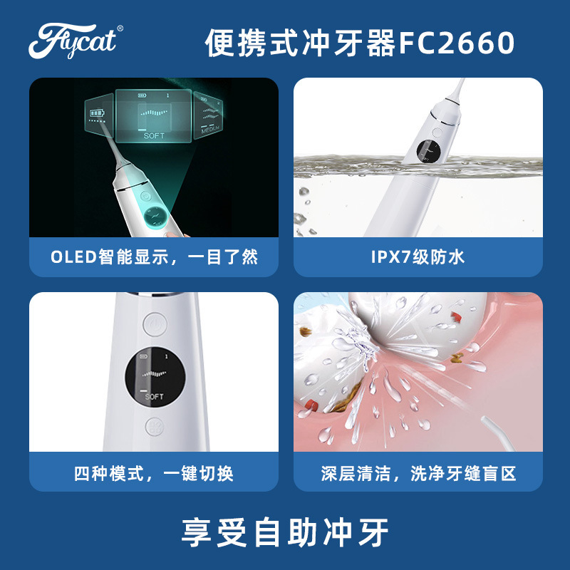 飛貓耐菲爾衝牙器便攜式電動潔牙器智能LED屏潔牙儀 定製FC2660