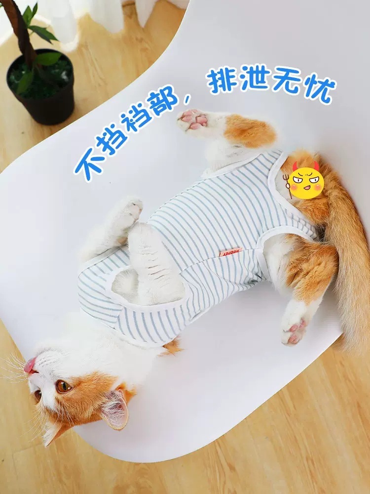 猫咪手术服母猫衣服绝育宠物术后防舔防咬防护透气猫咪绝育服