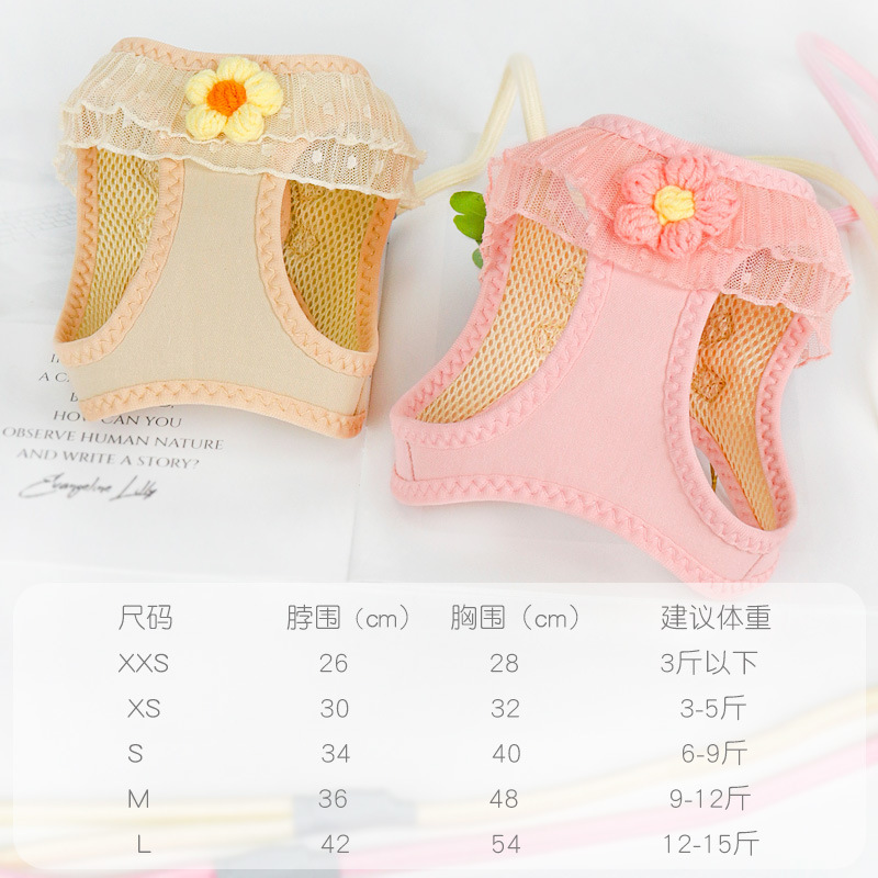 Từ mèo đến mèo.