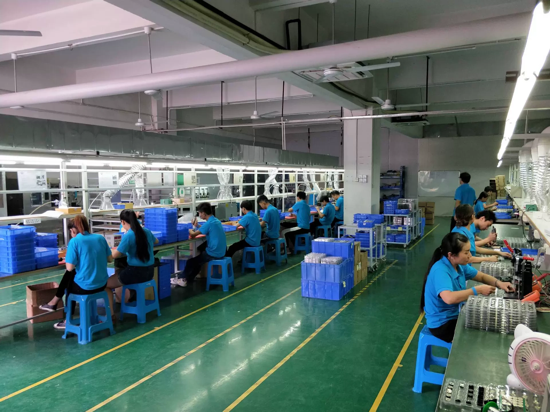 Thành phố Shenzhen, Thành phố Shenzhen