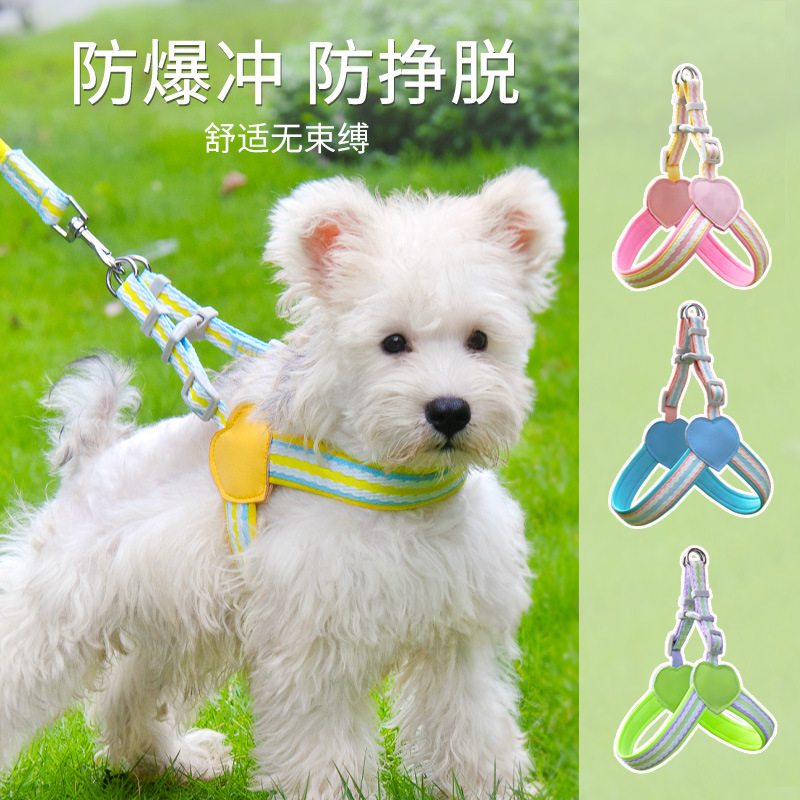 Chó rừng Amazon đã kéo dây, thắt lưng chó chống bom, sạc nhiên liệu mùa hè có thể điều chỉnh được.