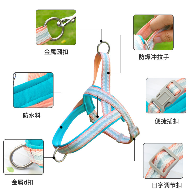 Chó kéo dây thừng chó, ngón chân chó, ngón chân chó, ngón chân chó.
