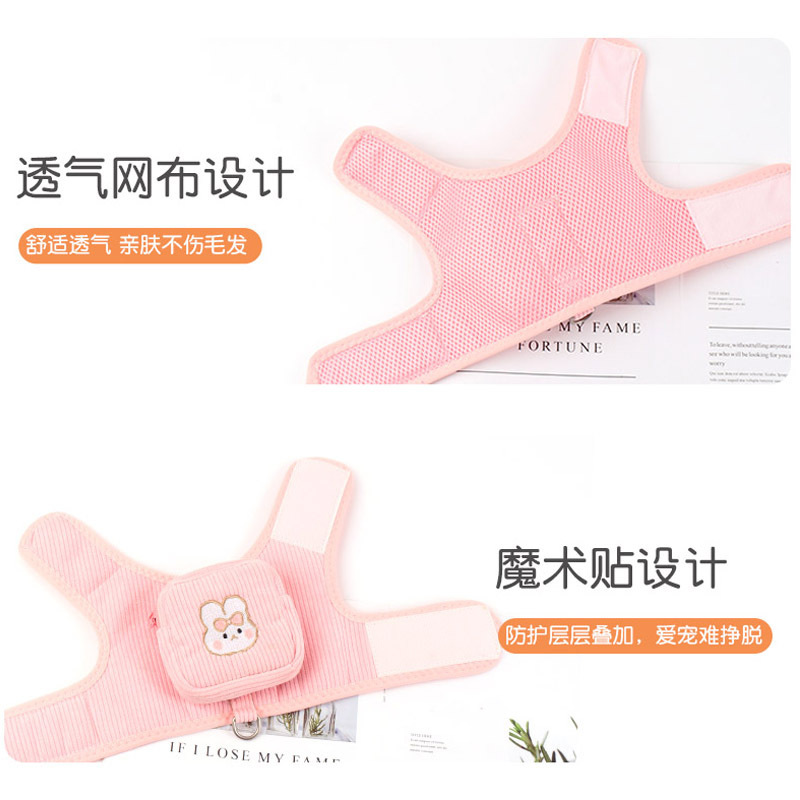Một con chó nhỏ mặc áo vest và một con chó nhỏ có gấu bông trên ngực.