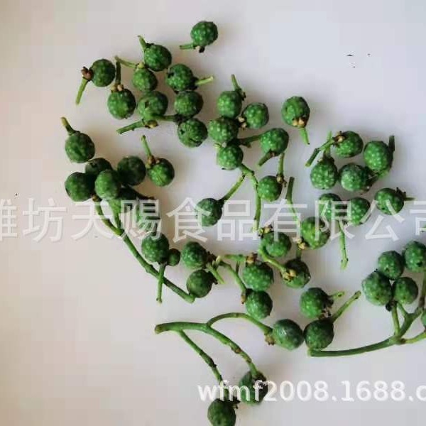 Nước tiêu Sichuan được bán trực tiếp, thương mại, xuất khẩu và phân phối.
