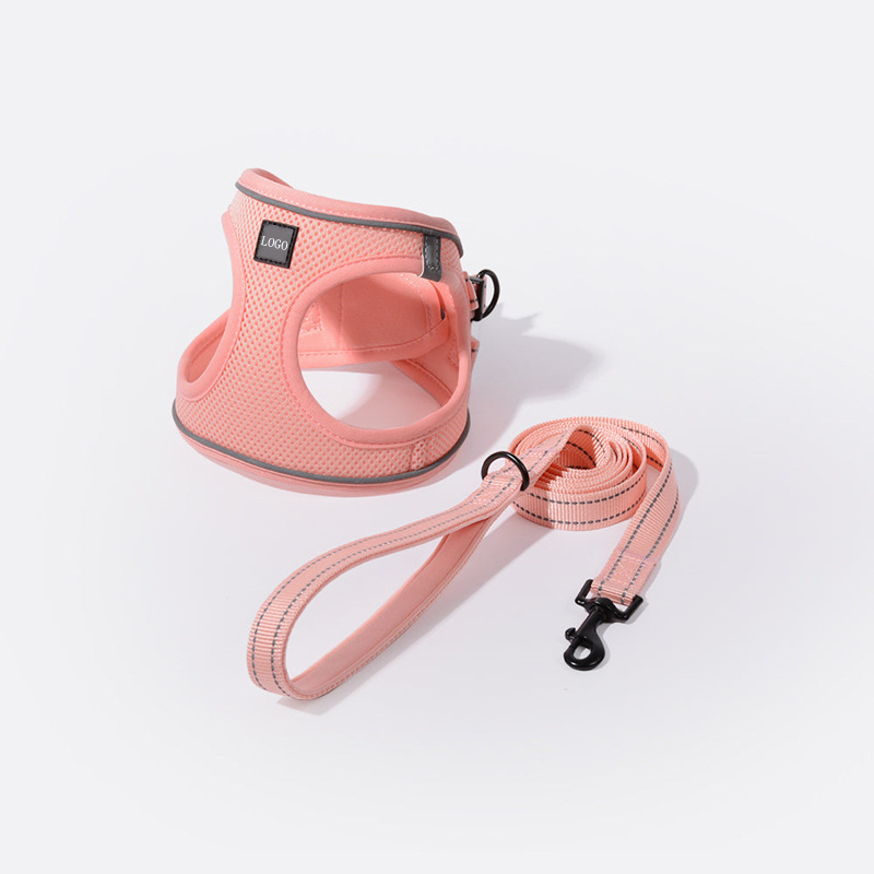 Thú cưng da đỏ Amazon trở lại với một con chó săn phản xạ nhẹ.