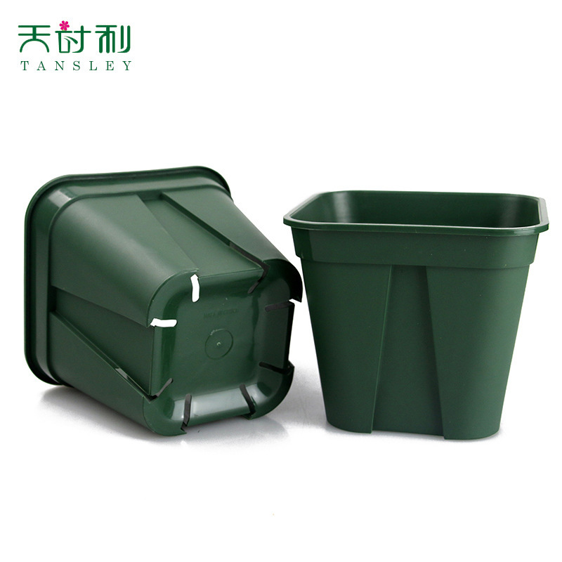 Nó chưa đủ tệ để tôi trồng một cái cày nhựa.