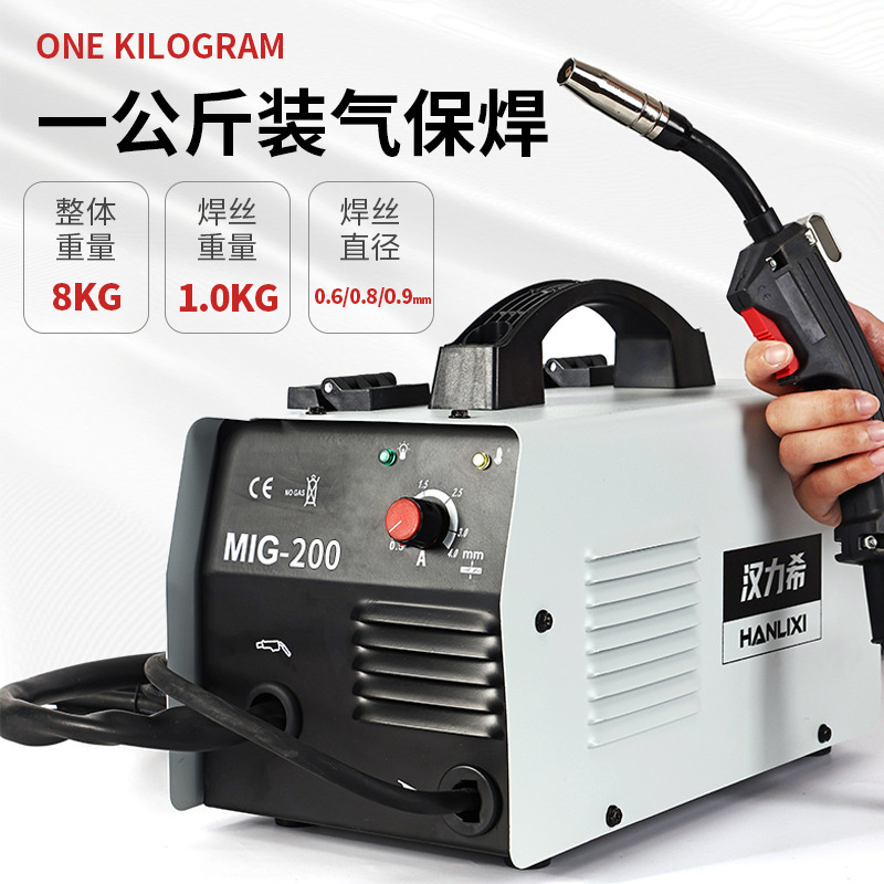 Portable welder hand-held anti-gas welder 220V small-scale home-based arc 2-barrel wholesaler