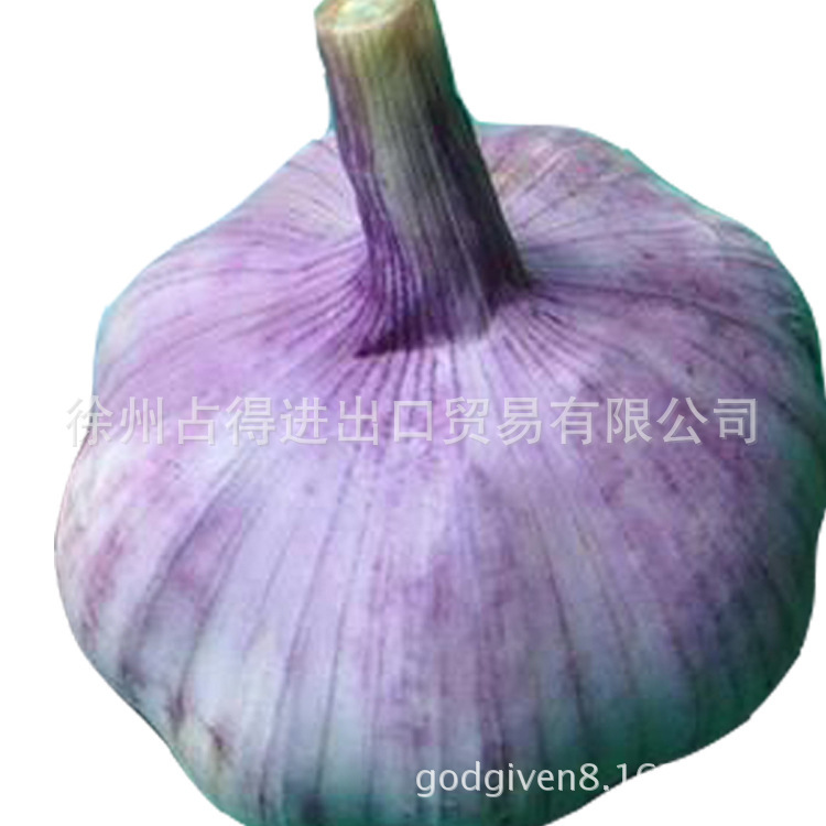Căn cứ tỏi trắng nguyên chất.