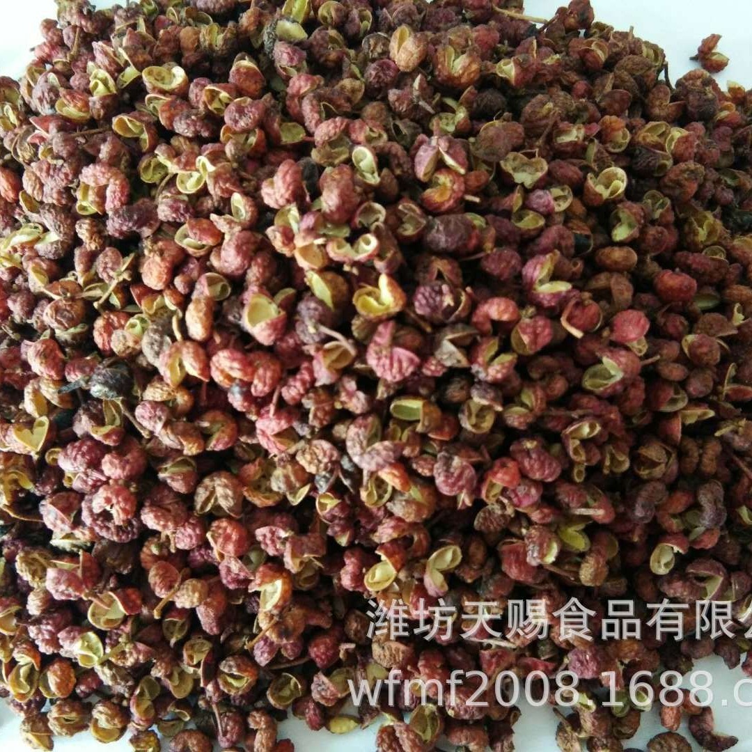 (Tiếng Ý)