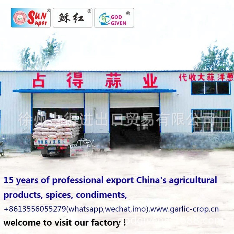 Căn cứ tỏi mới ở hạt tỏi rất đắt tiền.