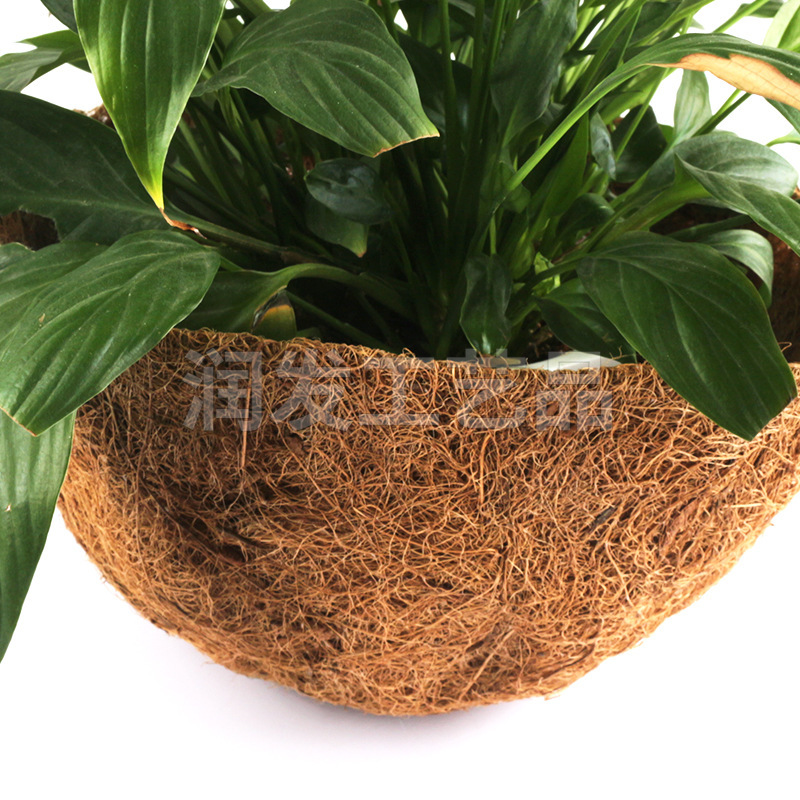 Những cái giỏ dừa, những cái giỏ dừa, những cái giỏ bằng sắt.