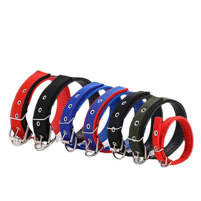 Những thứ thú cưng mới, 4 mùa... dựa trên chi-ti-tip-tip-tip-tip-tip-tip-tip-tip-tip-tip-tip-tip-tip-tip-tip-tip-tip-tip-tip-tip-tip.