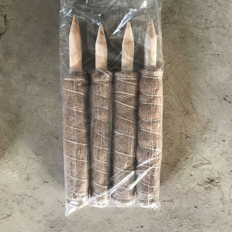 Thực vật cung cấp thực vật, loài bò sát thực vật, cây cọ, có thể kéo dài sự phân bố hàng loạt của thân cây, cột cây trồng.