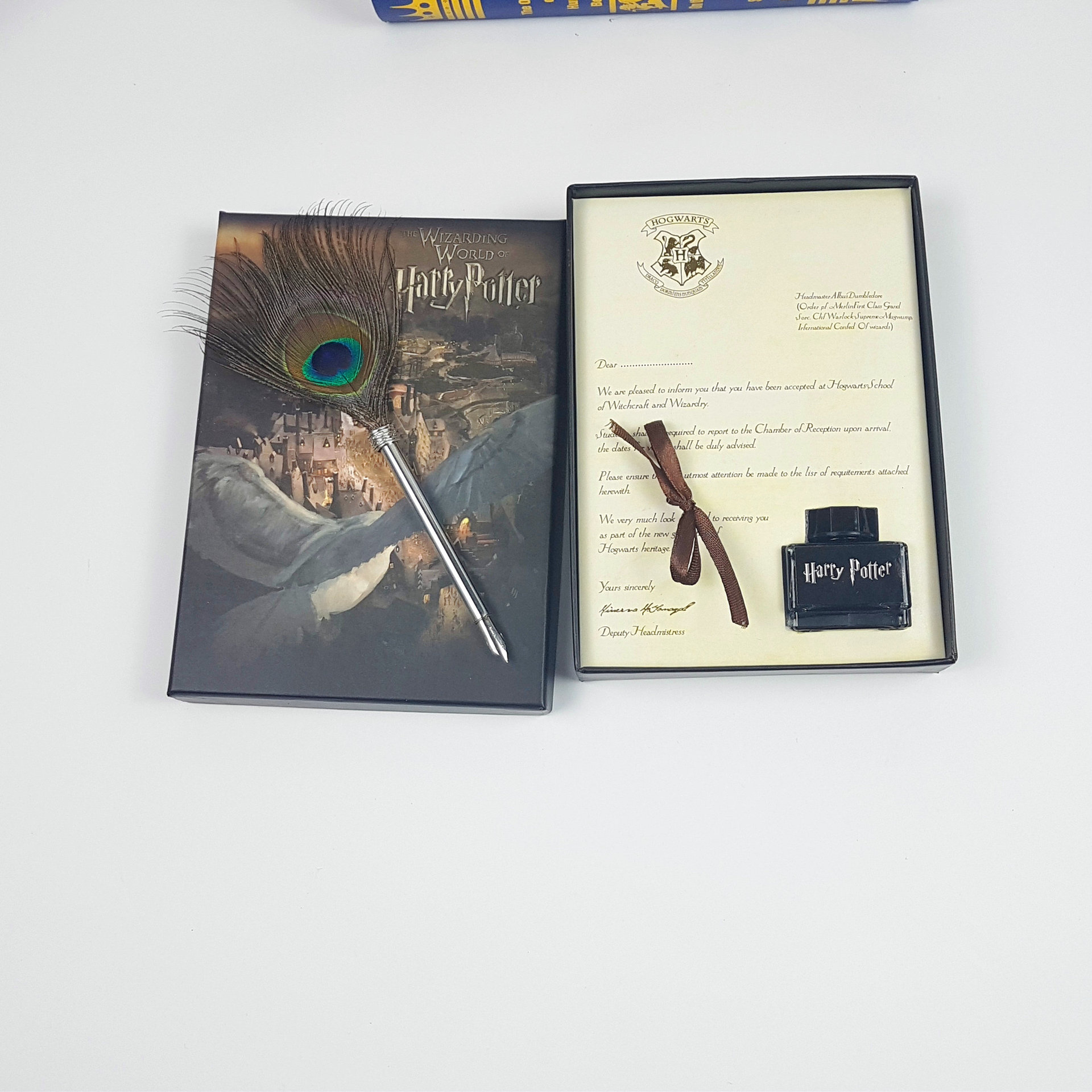 The mechanical punk wing feather pen, Harry Potter, the water pen ad, and the curry pen.