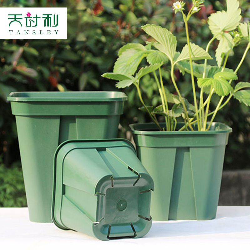Nó chưa đủ tệ để tôi trồng một cái cày nhựa.