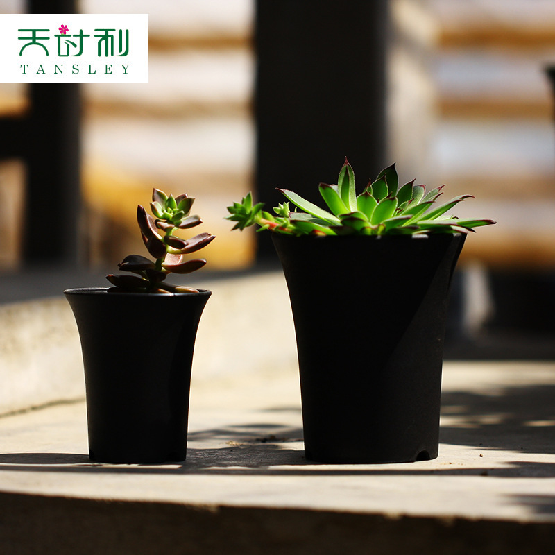 Ống nước, bình nhựa ở eo cao, bình mận đen trắng.