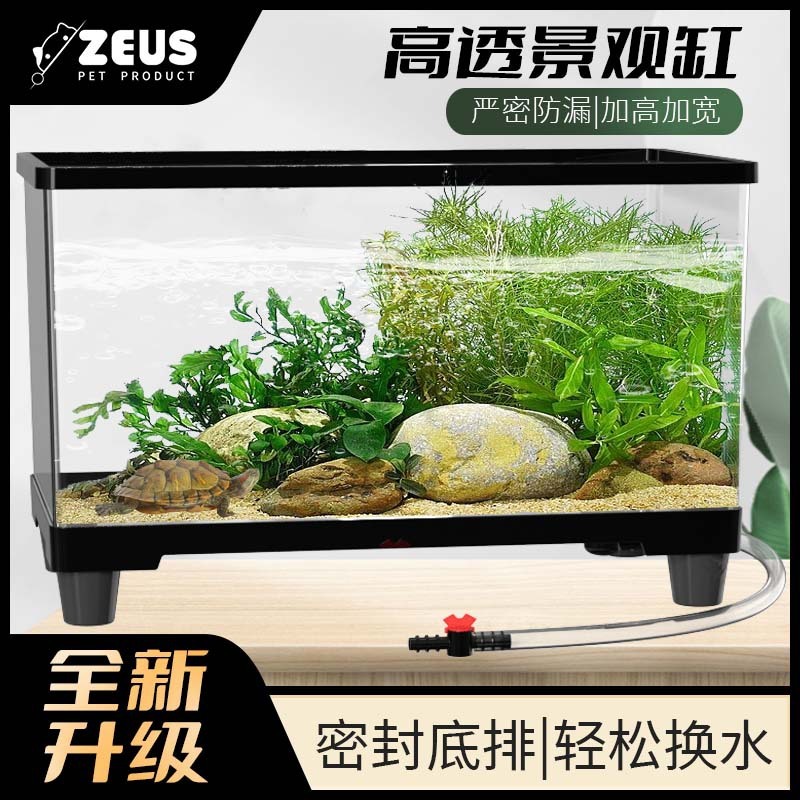 Tortoise nhà với những con rùa phòng khách nhỏ với ống xả mở để nuôi những chiếc bể cá sinh thái đặc biệt của rùa