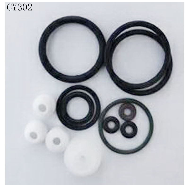 Van phun chính xác, van cao su, bộ phận của bộ phận bảo trì, hải cẩu piston, gói mất tích, với đầy đủ chi tiết