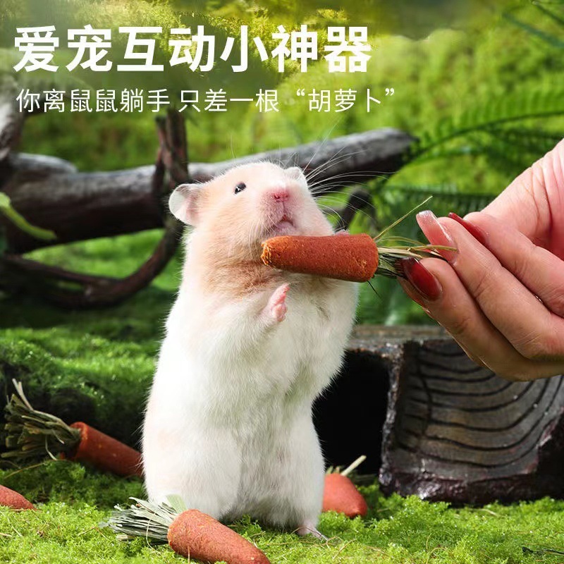 Cà rốt Hamster, thức ăn nhẹ.