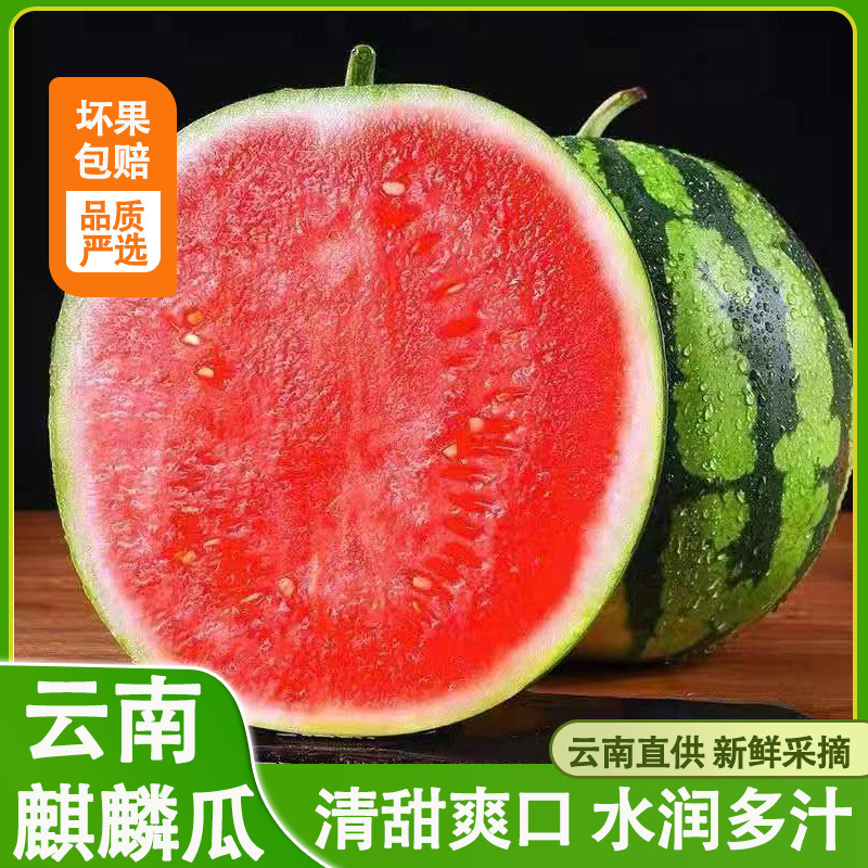 A new fruit is now being picked up by a pregnant woman at 8424 in the Grand Cucumber.