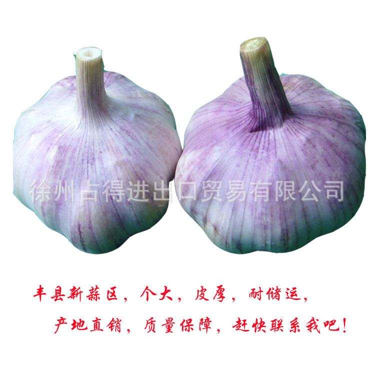 Căn cứ tỏi mới ở hạt tỏi rất đắt tiền.