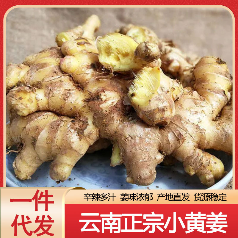 Yunnan Zheng Zhong Xiaogang now digs up the new Kang Zheng Zhong Zhong Zhong Zhong box 1-9 kg of a hair substitute