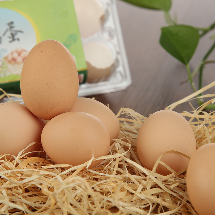 Farmers put their eggs and eggs in fresh boxes to support a survivability.