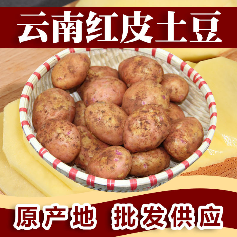 "Swiss Yunnan tươi, da đỏ, khoai tây tươi, một bó khoai tây ngọt."