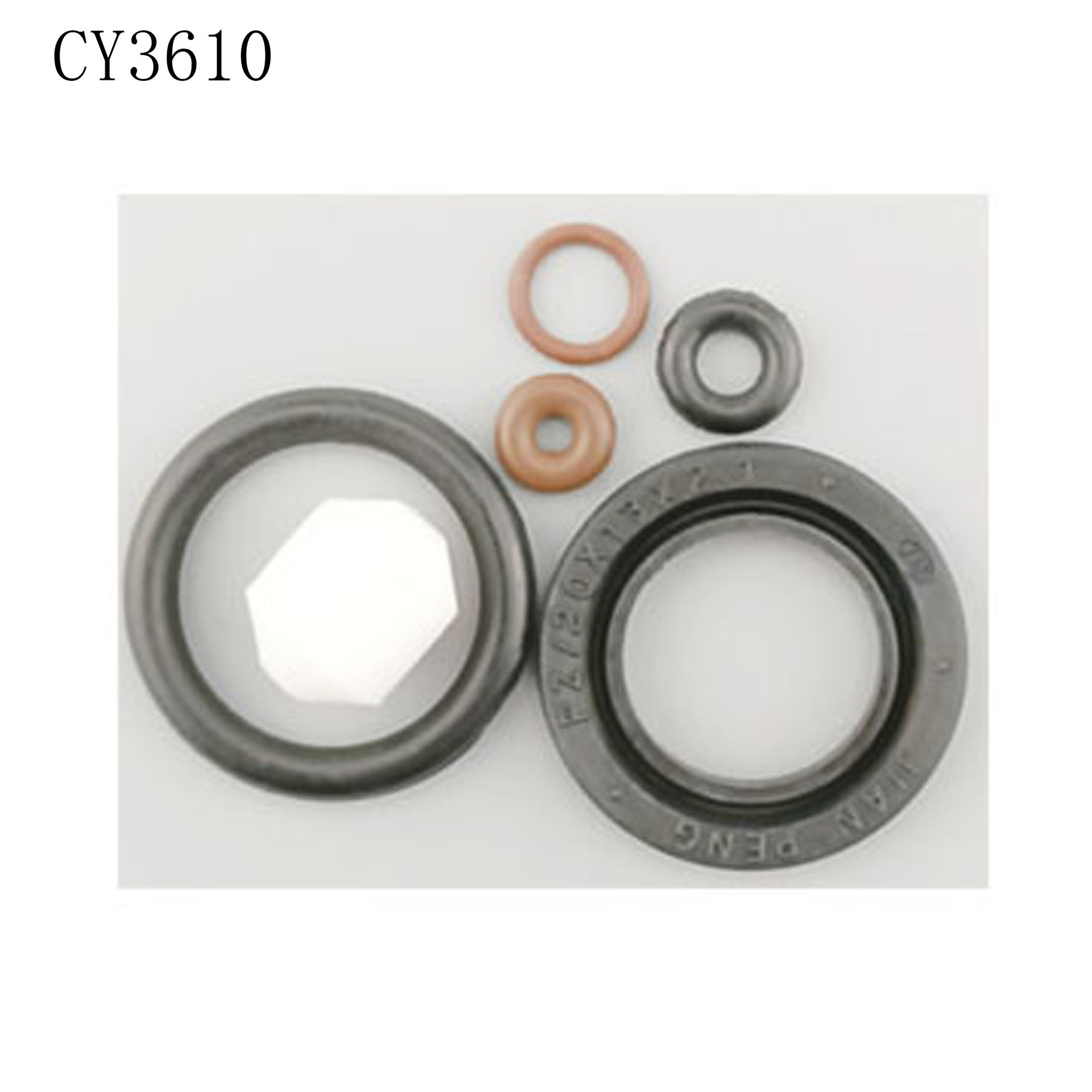 Van phun chính xác, van cao su, bộ phận của bộ phận bảo trì, hải cẩu piston, gói mất tích, với đầy đủ chi tiết