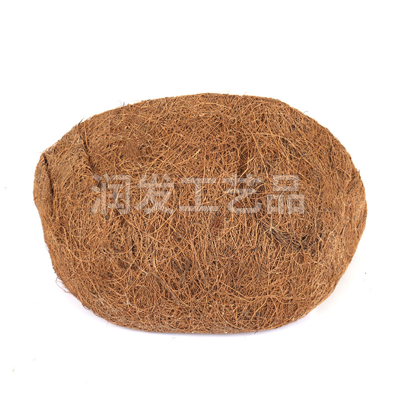 Một nửa quay bức tường gắn kết các giỏ cọ bằng sắt, tổ chim, cây cọ trên tường.