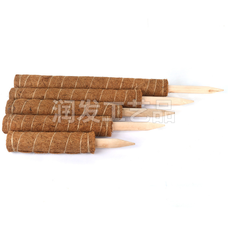 Thực vật, que dừa, giỏ dừa.