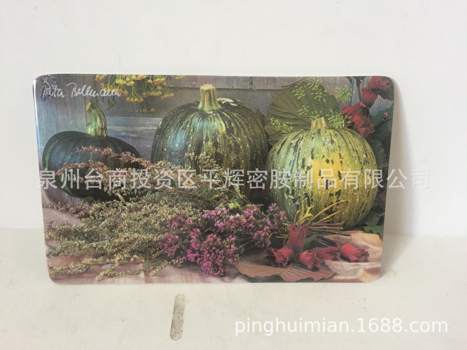 A5德国过食品级水果蔬菜设计密胺仿瓷菜板 美耐皿长方形面包板