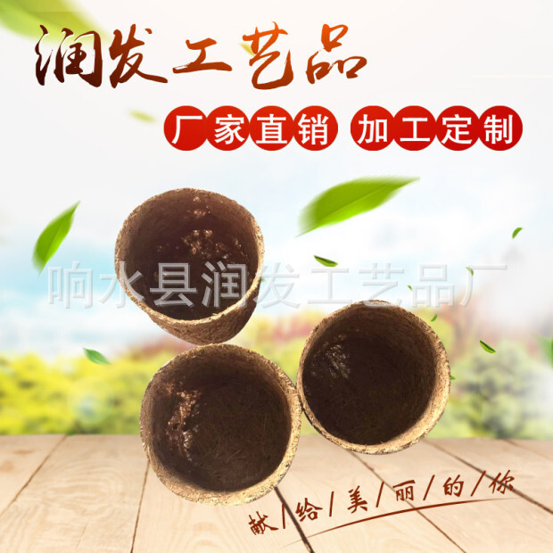 Nhà máy đang phát triển một chậu dừa.