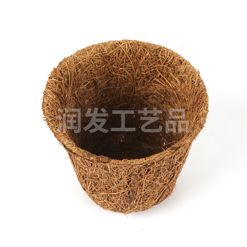 Nhà máy đang phát triển một chậu dừa.