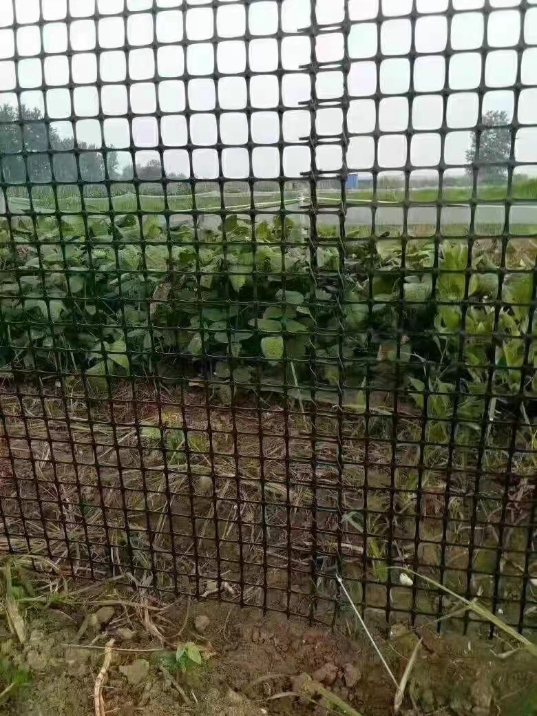 源头厂家 耐高温玻纤单向土工格栅 多规格塑料护坡路基格栅 土工