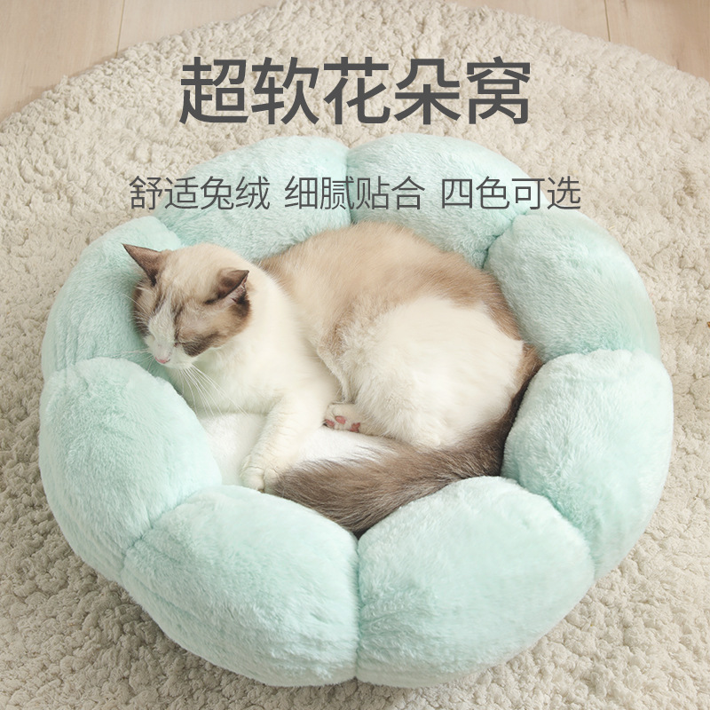 Tổ thú nuôi mới, mèo hoa làm ấm tổ nhung của chúng vào mùa đông.
