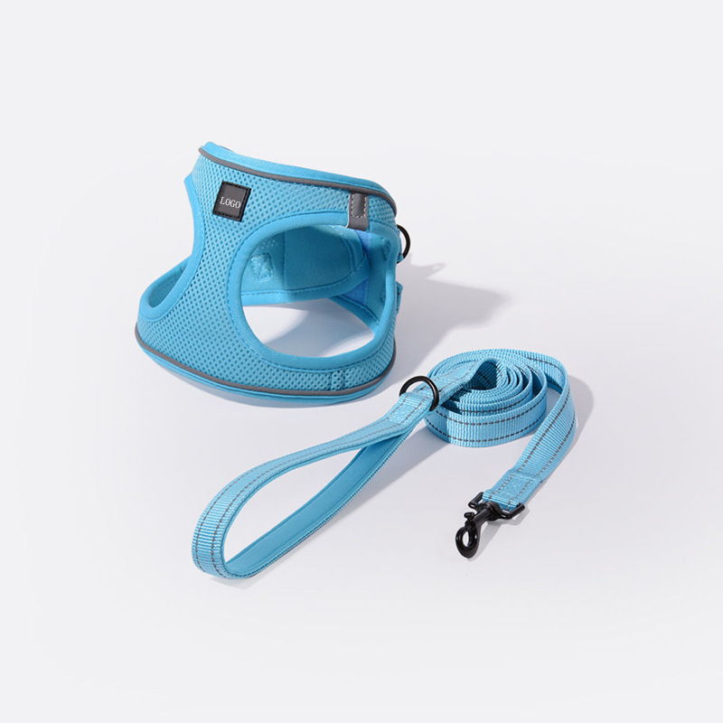 Thú cưng da đỏ Amazon trở lại với một con chó săn phản xạ nhẹ.