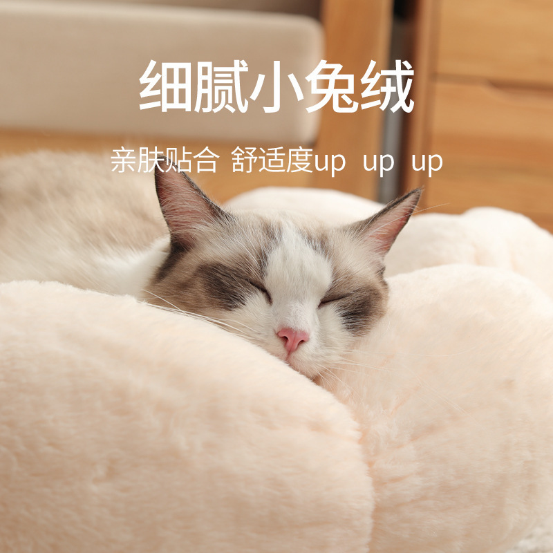 Tổ thú nuôi mới, mèo hoa làm ấm tổ nhung của chúng vào mùa đông.