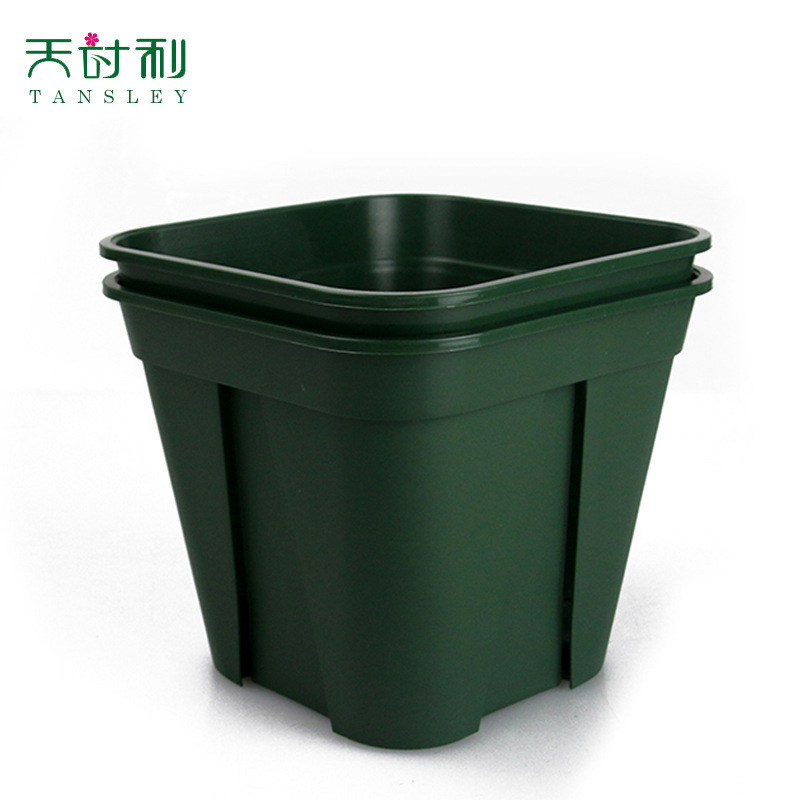 Nó chưa đủ tệ để tôi trồng một cái cày nhựa.