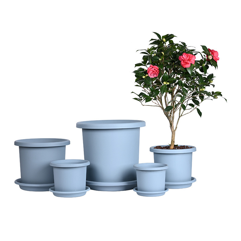 Gốc của vật hình trụ, thùng chứa ga-lông, quả bóng thêu màu xanh lá cây, bó hoa mặt trăng, hoa tulip.