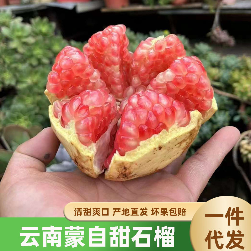 Yunnan is a pregnant woman with a hard-seeded pomegranate.