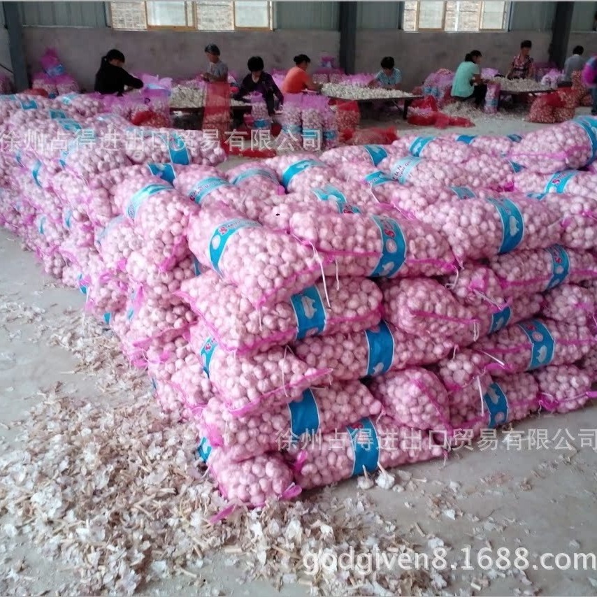 Tôi đã bán khu vực sản xuất hành tây mới của tỏi Pupu-white nhiều năm rồi.