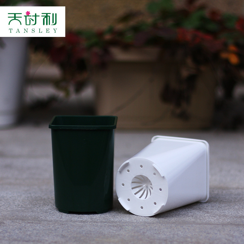 Những cái đĩa, mùa, những cái cày xanh.