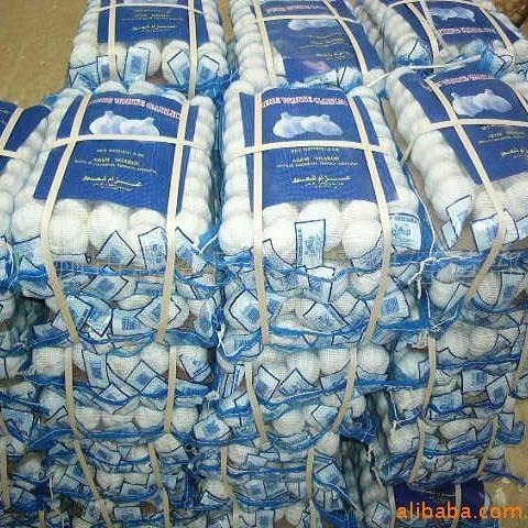 Tôi đã bán khu vực sản xuất hành tây mới của tỏi Pupu-white nhiều năm rồi.