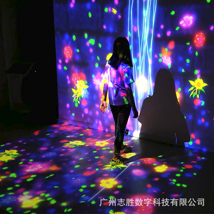 5D hologram network Red Drum card base art exhibition whole program to plan an immersion interactive projector