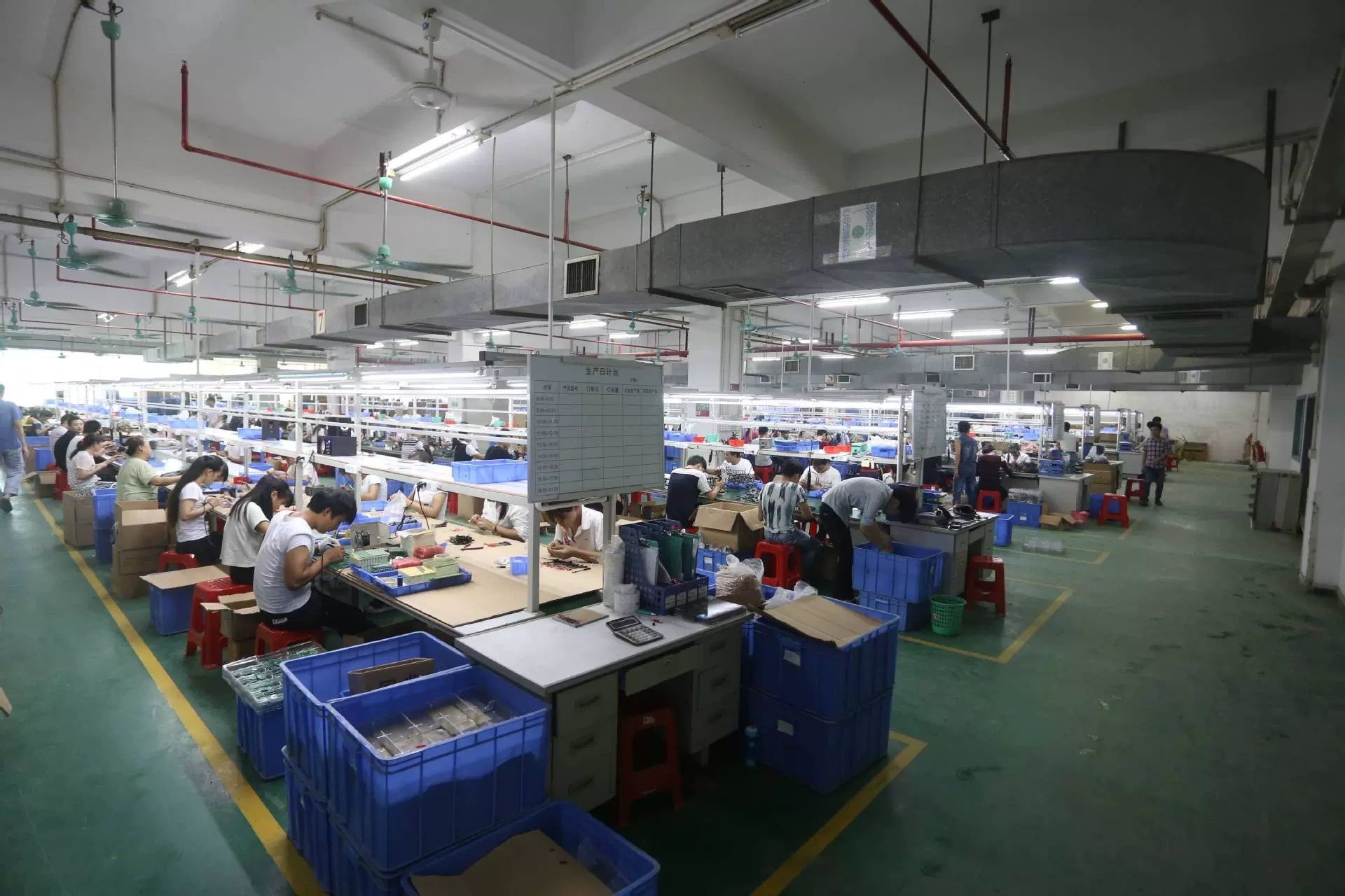 Công ty TNHH Nimmy Fruit Industries, Thành phố Thâm Quyến