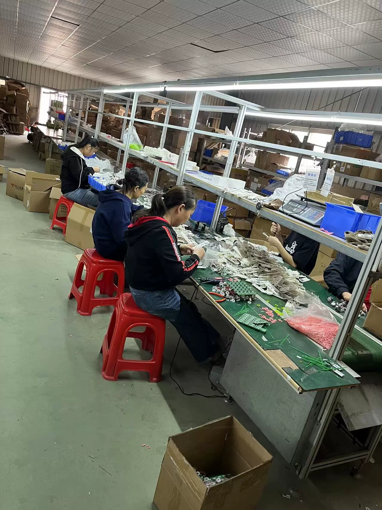 Thành phố Shenzhen, Thành phố Shenzhen