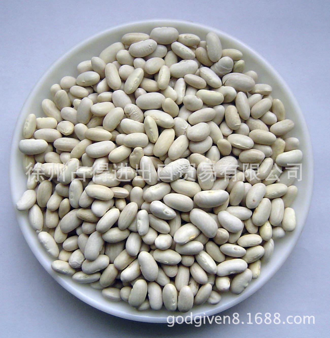Đậu trắng, trắng, trắng, trắng, khô, tốt để thoát!