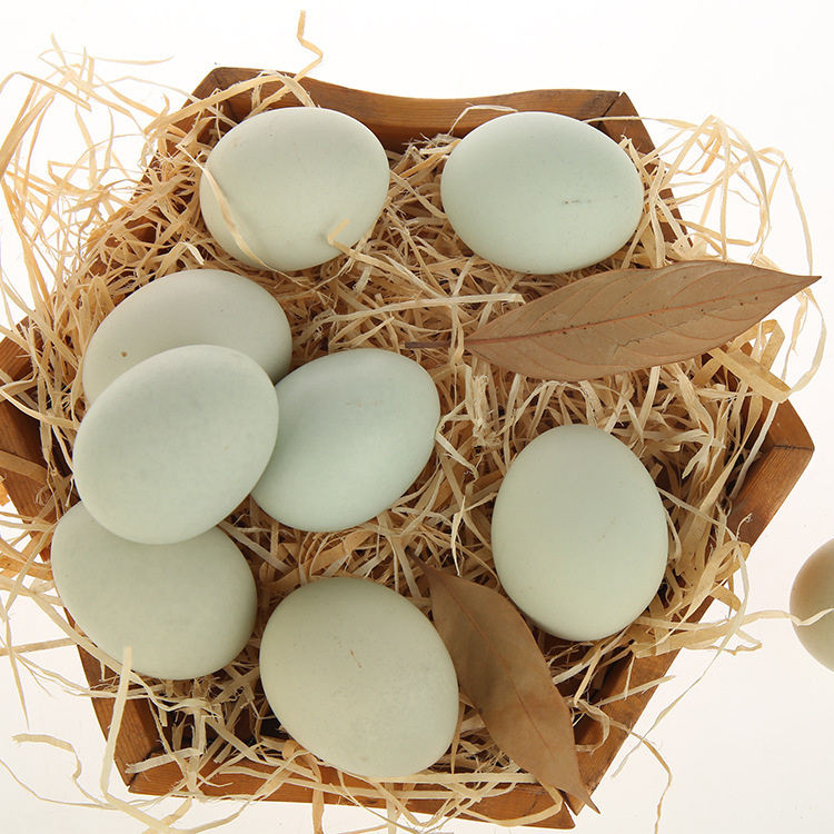 The bulk of the green-shelled eggs distributed under the oggs forest comes from a packaged mail.