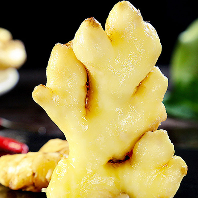 2024년 Ginger Yong-nam, ginger-sweet 신선한 계절 야채는 이제 도매 머리카락을 파고 있습니다.